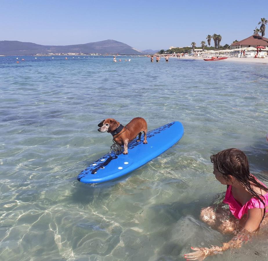 Alghero Lido Monolocale Apartman Kültér fotó